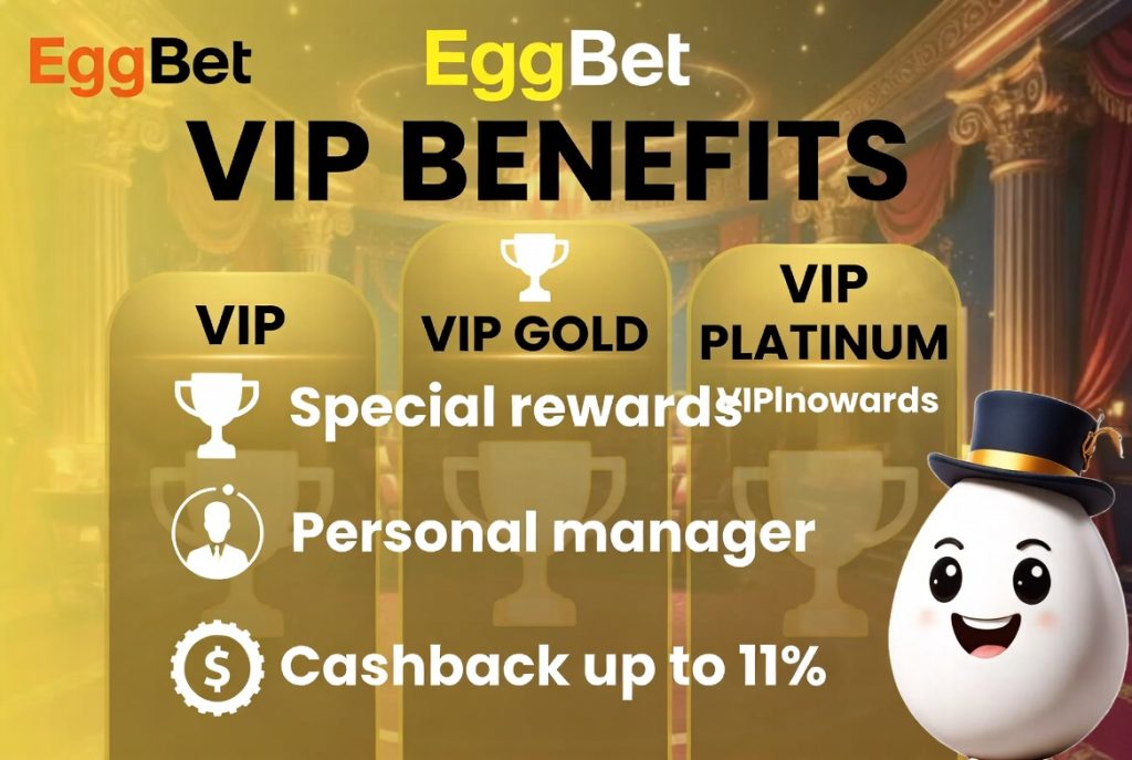 VIP 혜택 분석